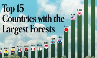 Countries with the largest forests